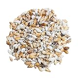 200g Scallop Shells for Crafts Muscheln zum Bemalen Seesterne Deko Muscheln Deko Vase Fillers Tiny Sea Shell Geeignet für Familienfeiern Hochzeitsdekorationen für DIY (Maisschneckenversion)