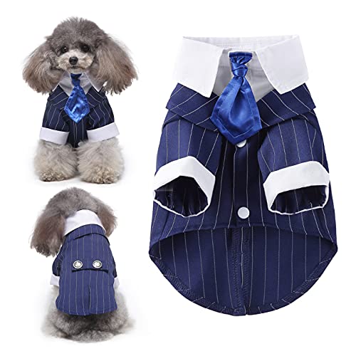 Disfraz Tuxedo Azul para Perro Talla XL