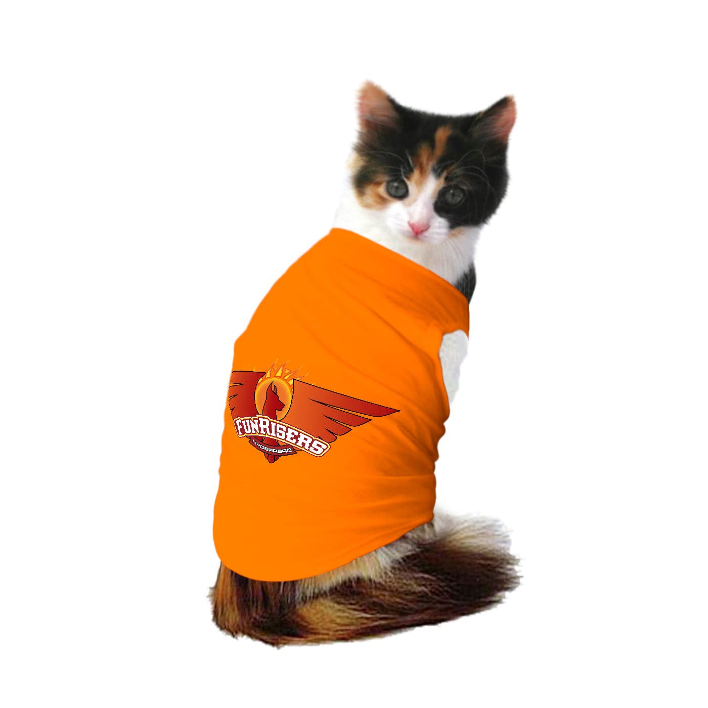 Ruse Round Neck Sleeveless T-Shirt for Cats Indian Paw League (IPL) Funrisers Hyderabad Team Printed Cats Jersey Sando Vest Tank Tees Apparel/Clothes Gift for Pet (Black, XXS) (B0C1CNG12P) Amazon Price History, Amazon Price Tracker