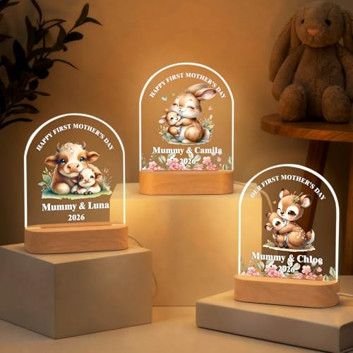 Lámpara de noche personalizada acrílica con base de madera miniatura 7