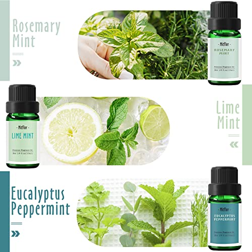 Fragrance Oils Set Of Mint, Mitflor Premium Scented Oils For Diffuser, Soap & Candle Making Scents, Refreshing Home Fragrance, Aromatherapy Oil Gift Set, Cedarwood Mint, Coconut Mint And More, 6X10Ml #TOP1