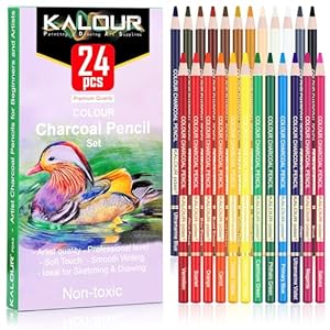 KALOUR PDAS 24 Farbkohlestifte Zeichenset