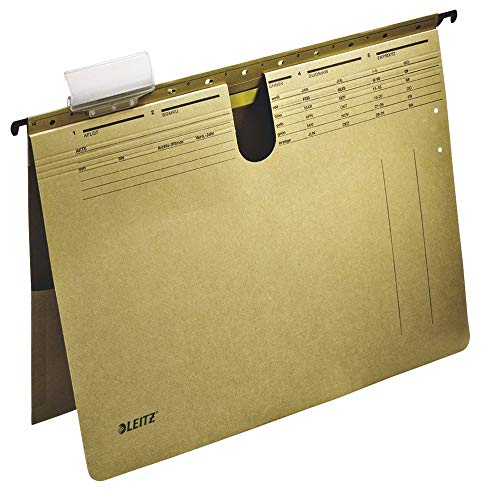 ESSELTE LEITZ GMBH & COKG Hängehefter naturbraun