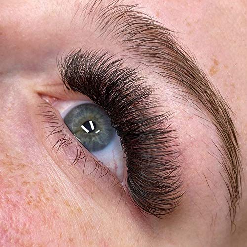 Eyelash Extensions 3D 4D 5D 6D 7D 10D Thickness 0.05/0.07/0.1 C/D Curl Eyelashes Short Stem Heat Bonded Premade Fans Russian Volume Pre-Fanned Lash Extensions Supplies (5D-0.07-C-8-15Mm) #TOP5