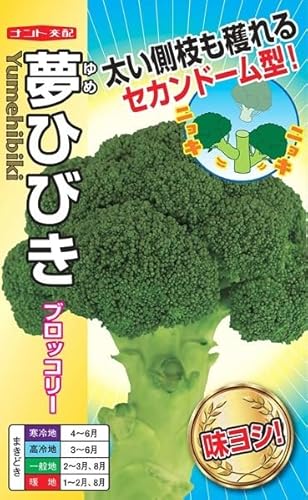 ナント種苗 ブロッコリー種子 夢ひびき 小袋 セカンドドーム ナント交配のサムネイル