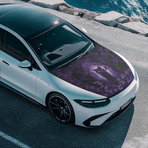 Image of Black Cat Car Hood Cover All Weather Protection Auto Exterior Accessories Halloween Universal Fit Hood Covers for Cars, Trucks, SUV, or Van Full Coverage