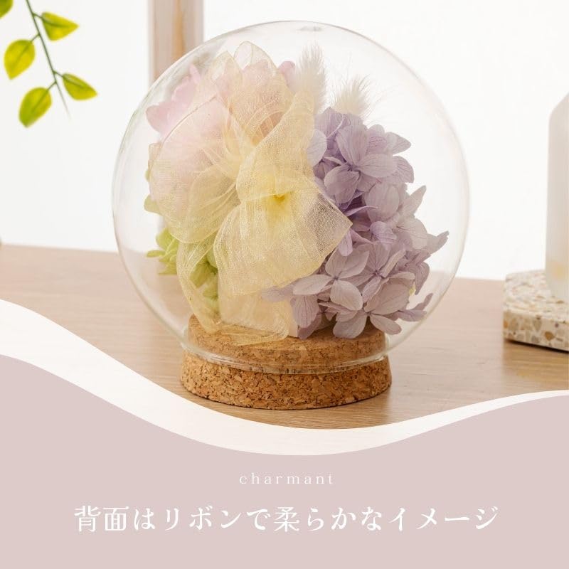Amazon｜プリザーブドフラワー Ruplan（ルプラン）ガラスドーム 黒猫