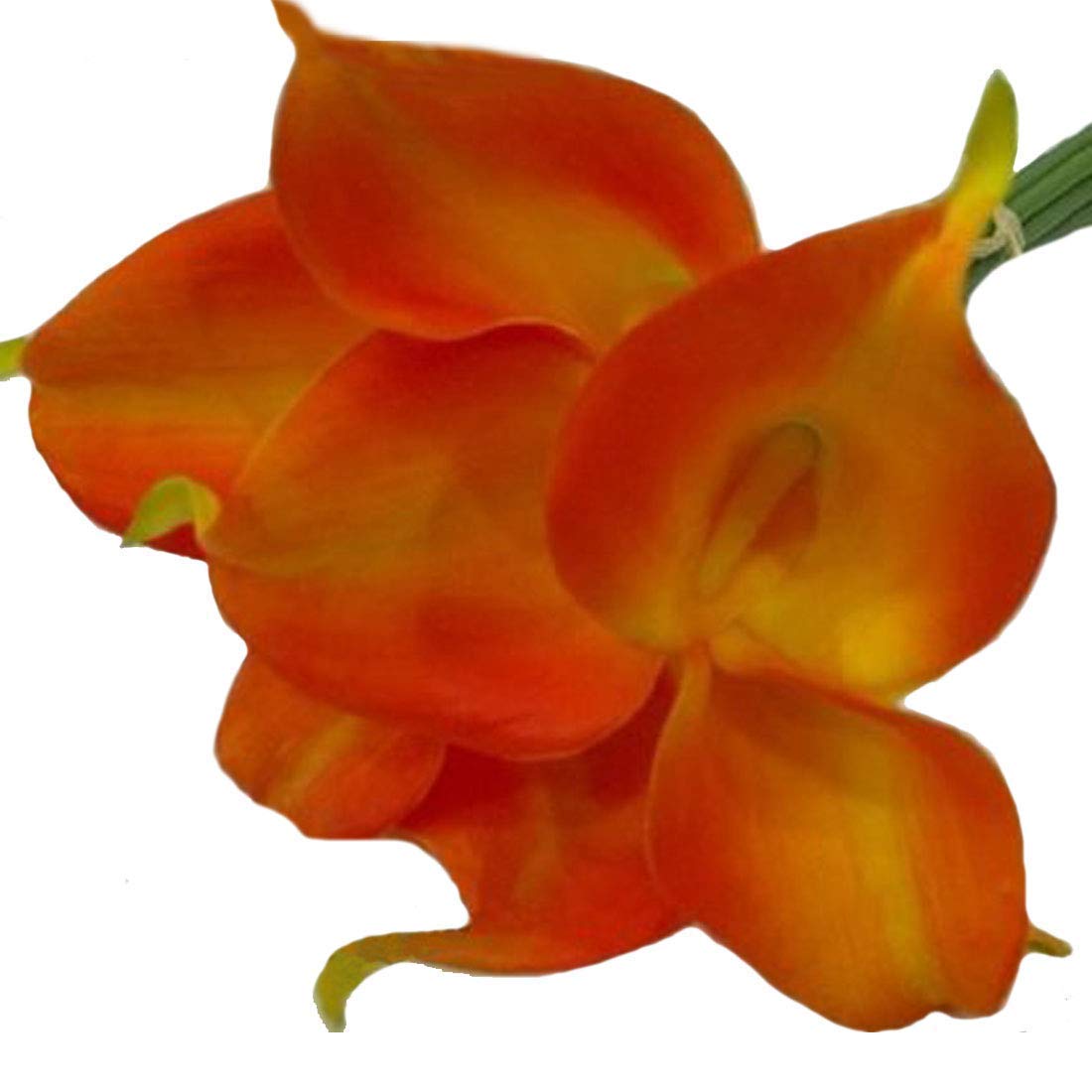 Calcifer®10Pcs Real Touch Calla Lily Bridal Latex Wedding Bouquet Flower Bouquets (Orange)