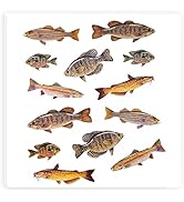 Fish Stickers for Kids Sticker Pack - 2 Sheets Fish Stickers for Crafts Small Stickers Reusable S...