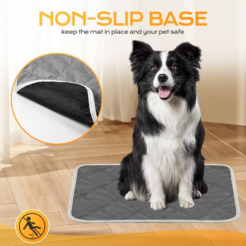 Chumix Selbstheizende Decke für Katzen & Hunde- Haustiere Wärmematte, Warme Hundematte für Klein Mittel, Hund rutschfest Wärmedecke- Waschbare Welpen Thermodecke (L 48X70 cm)