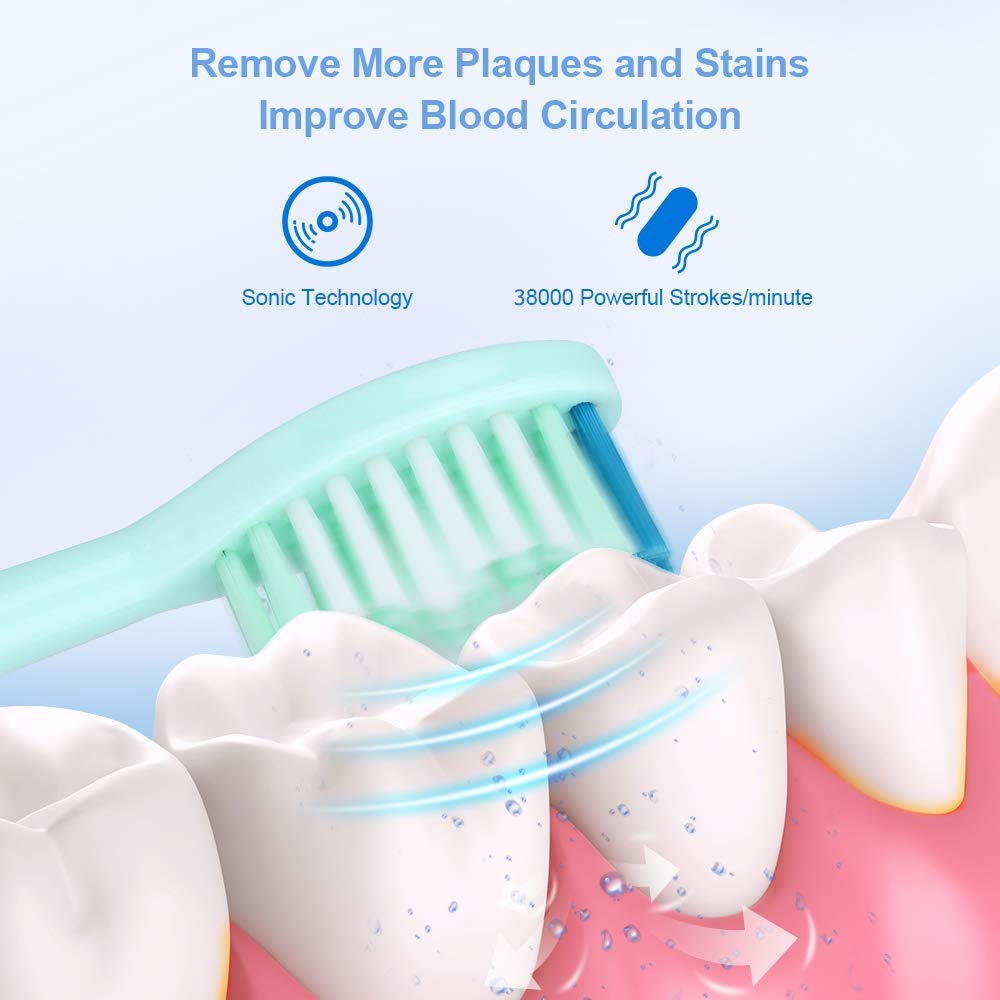 Cepillos de dientes acústico ultrasónico cepillo de dientes eléctrico USB recargable con 2 piezas de repuesto DuPont Jefes Tiempo cepillo impermeable (Color : Black toothbrush)