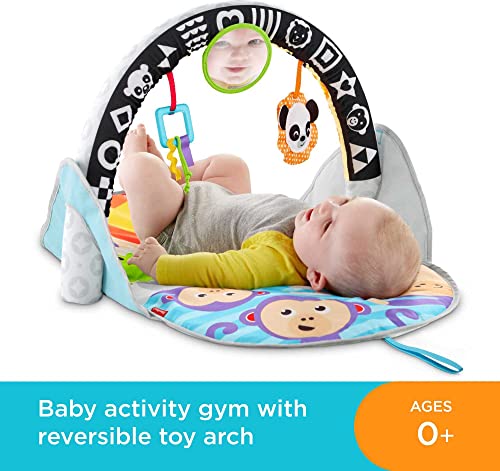 Fisher-Price 2-In-1 Flip & Fun Activity Gym, Baby Play Mat With Arch #TOP1