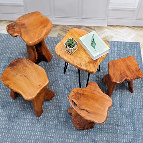 Warmaxx WARMUSHSTOOLNEW2 Cedar Natural Shape Stump Stool 13.5"X12"X14"H Solid Wood End Table Rustic Plant Stand Live Edge Coffee Table For Living Room Bedroom Patio Accent Side Table Outdoor Garden Sit Foot Stool thumb #7