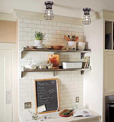 Danseer Retro Industrial Loft Barn Oil Rubbed Bronze Cage Ceiling Light Fixture #TOP2