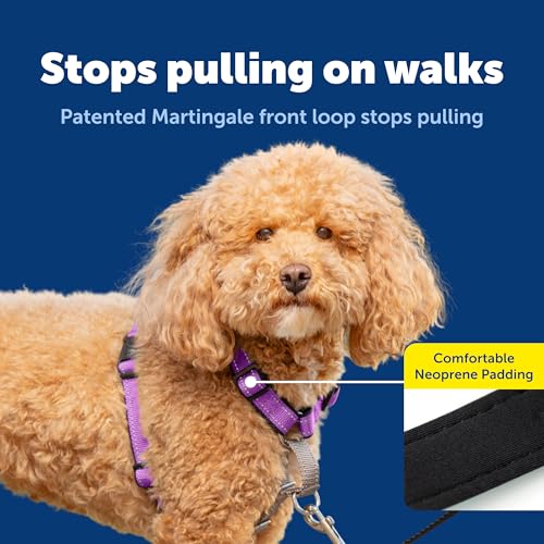 Image of PetSafe Plum 3-in-1 Harness, Small