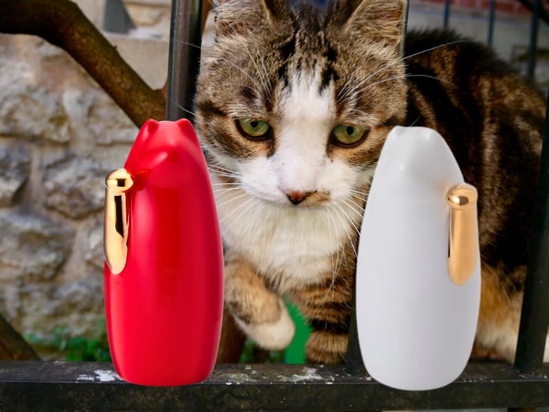 手招き猫❢ Amazon.co.jp: SETO MANEKI ギフトセット 右・左 赤・白（金手） 中