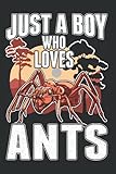  Ameisen Tagesplaner: Just a boy who loves Ants Ameisenfarm Ameisen / Kalender 2022 / Wochenplaner Tagesplaner Planer / Planungsbuch To-Do-Liste / 6x9 Zoll / 100 ausfüllbare Seiten