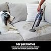 Shark Cyclone PET Handheld Vacuum | HyperVelocity Suction | Powerful Pet Hair, Home & Car Cleaning | USB Rechargable| Lightweight | Crevice Tool & Multi Surface Pet Tool | Navy Blue/Grey | CH701