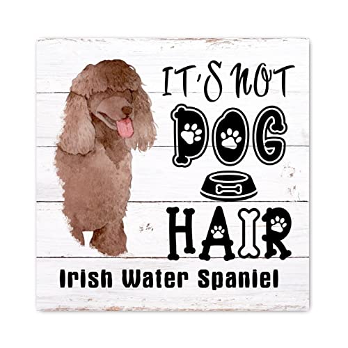 Panneau mural en bois Irish Water Spaniel Evans1nism déco humour