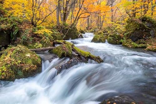 y{i|XgJ[hzX gt  R photo by daikegorotHgJ[hyY