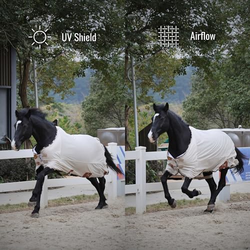 Image of BARN & STABLE Breathable and UV Protective Tear-Resistant Mesh Horse Fly Sheet Comfy Equine Summer Sheet with Removable Web Leg Straps (Sand, 69 in)