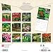 Gardens | 2026 12 x 24 Inch (Hanging) Monthly Square Wall Calendar | Foil Stamped Cover | Plastic-Free | BrownTrout | Outdoor Home Country Nature