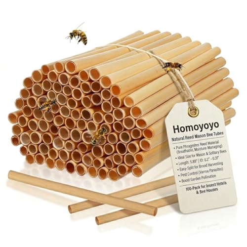 Homoyoyo Natural Reed Mason Bee Tubes 100-Pack 5.9 Inch Bee House Refill Tubes for Mason and Solitary Colonys 0.2-0.31 Inch Diameter Reed Nesting for Colony Hotel Garden Pollinator Habitat