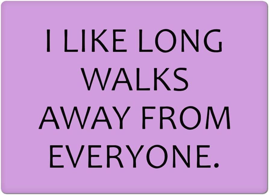 Introvert Car Magnet 2 PCS - Cool Car Magnet - Trendy Sticker