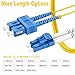 20m(65ft) OS2 SC to LC Single Mode Fiber Patch Cables, Options 1m~153m, SinglemodeFiber Optic Cable 10G SMF LSZH Duplex 9/125μm OD 2.0mm 𝙍𝙖𝙢𝙗𝙤𝘾𝙖𝙗𝙡𝙚𝙨