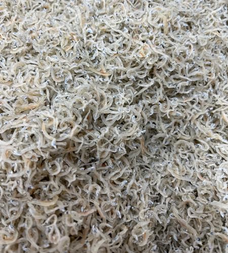 ߂񂶂Ⴑ P Y TCY sHʎs