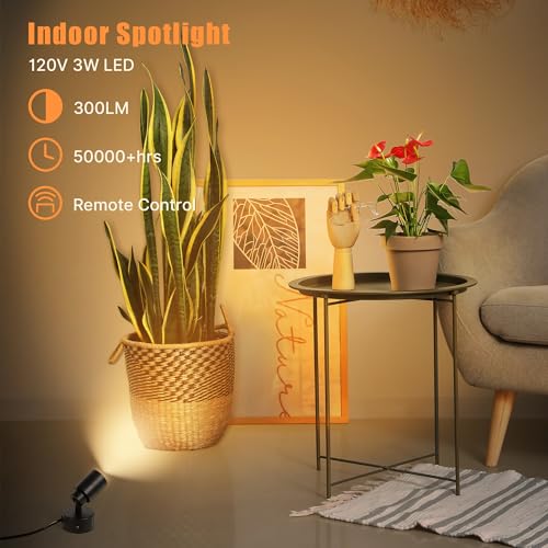 LED Spotlights Indoor, 5W Plants Uplighting with Remote Control Dimmable & Timer, Uplights Indoor Floor Spot Lights for  - Additional View