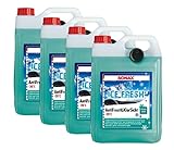 Fächerdüsentauglich SONAX 4er Set 01335410 AntiFrost&KlarSicht 5 L gebrauchsfertig bis -20° Ice Fresh (20 L)