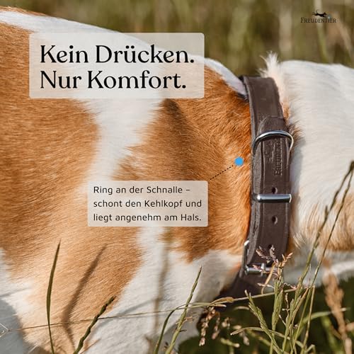 FREUDENTIER Hundehalsband Leder für kleine bis mittelgroße Hunde - Alsterufer Kollektion - Lederhalsband aus Fettleder - Handmade in EU (Chocolate, 33-44,5cm)