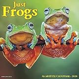 Frogs 2020 Wall Calendar