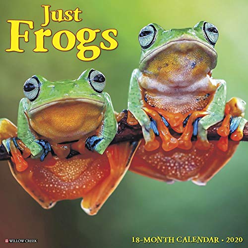 Frogs 2020 Wall Calendar