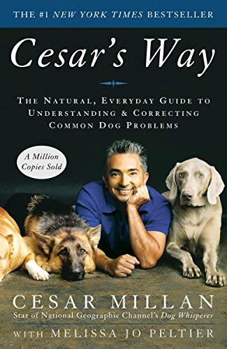 Cesar Millan: Cesar 's Way: Die Natürliche, Alltag Guide to Verständnis und Beheben Gemeinsame Hund Probleme (Paperback); 2007 Edition