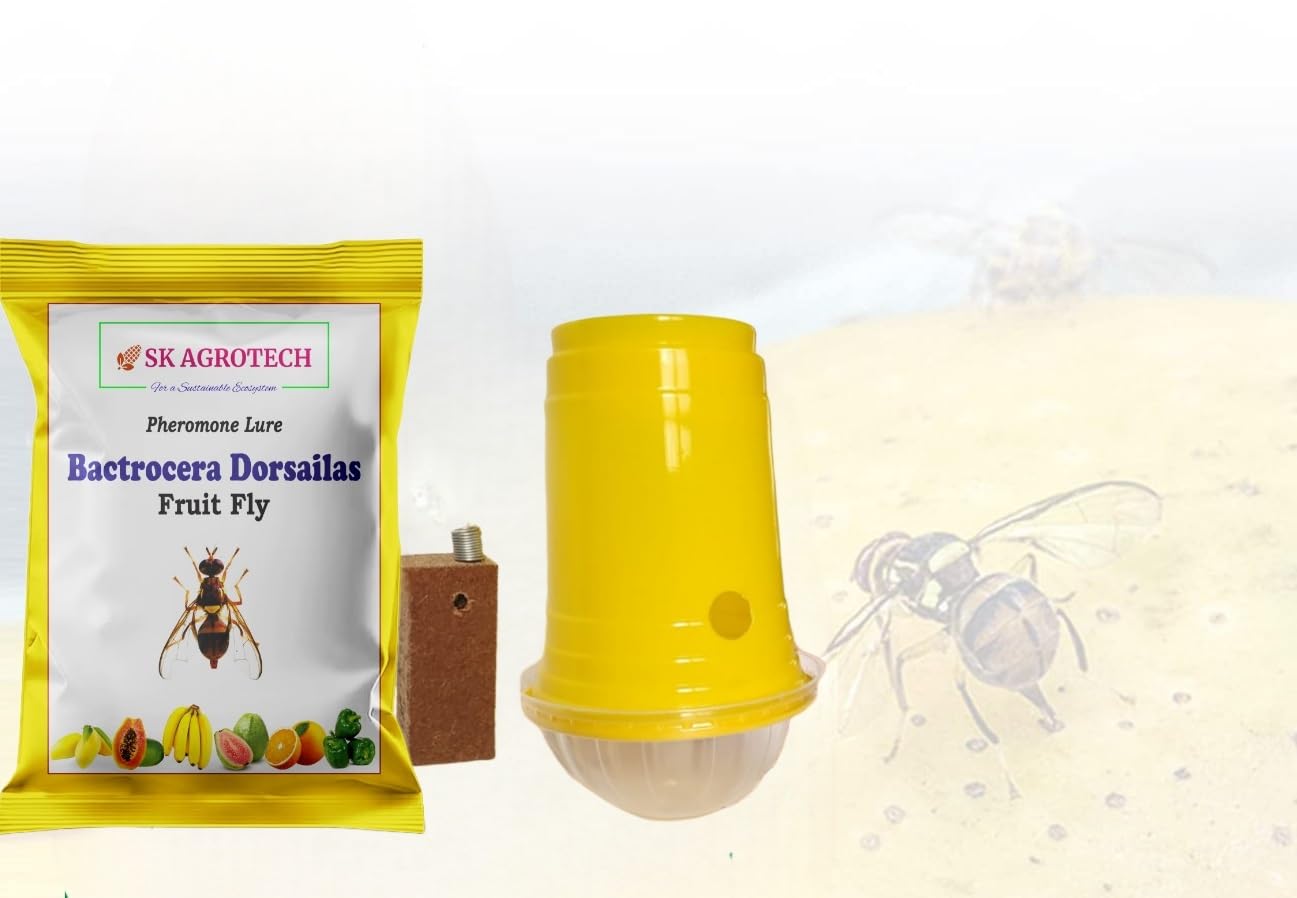 Bactocera Dorsalis Fruit Fly Pheromone Trap with Lure Useful in Mango, Papaya, Sapota, Guava, Pomegranate, Sweet Fruit (100) (B0D95DKBNG) Amazon Price History, Amazon Price Tracker
