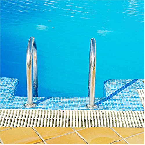 Escalera para Piscina con Pasamanos de Acero Inoxidable 200kg miniatura 3