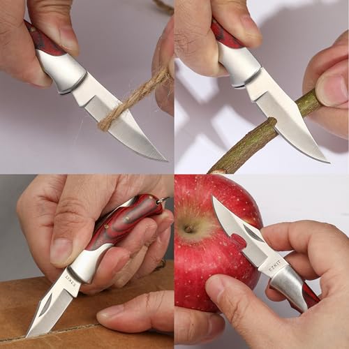 Image of Folding Pocket Knife with Back lock, 2in Stainless Blade and Rosewood Handle, 4.8in Total Length, Compact EDC Gear