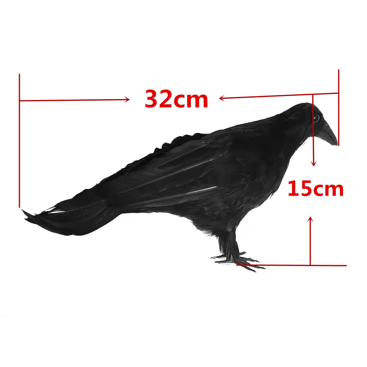 Amazon.com: ZILIN 2pcs/Pack,32cm Fake Dead Crow Lifesize Black