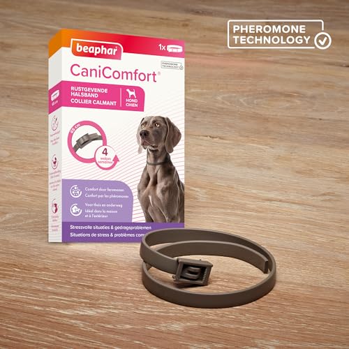 Beaphar Canicomfort Hundehalsband, beruhigend mit Pheromonen, 1 Stück, 65 cm