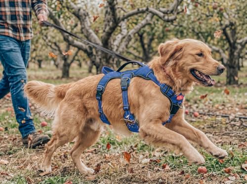 Image of Tuff Pupper Escape Proof No Escape Dog Harness | 5 Point Adjustable Fit Harness for Dogs | Padded Dog Harnesses | Handle Dog Lift Harnesses