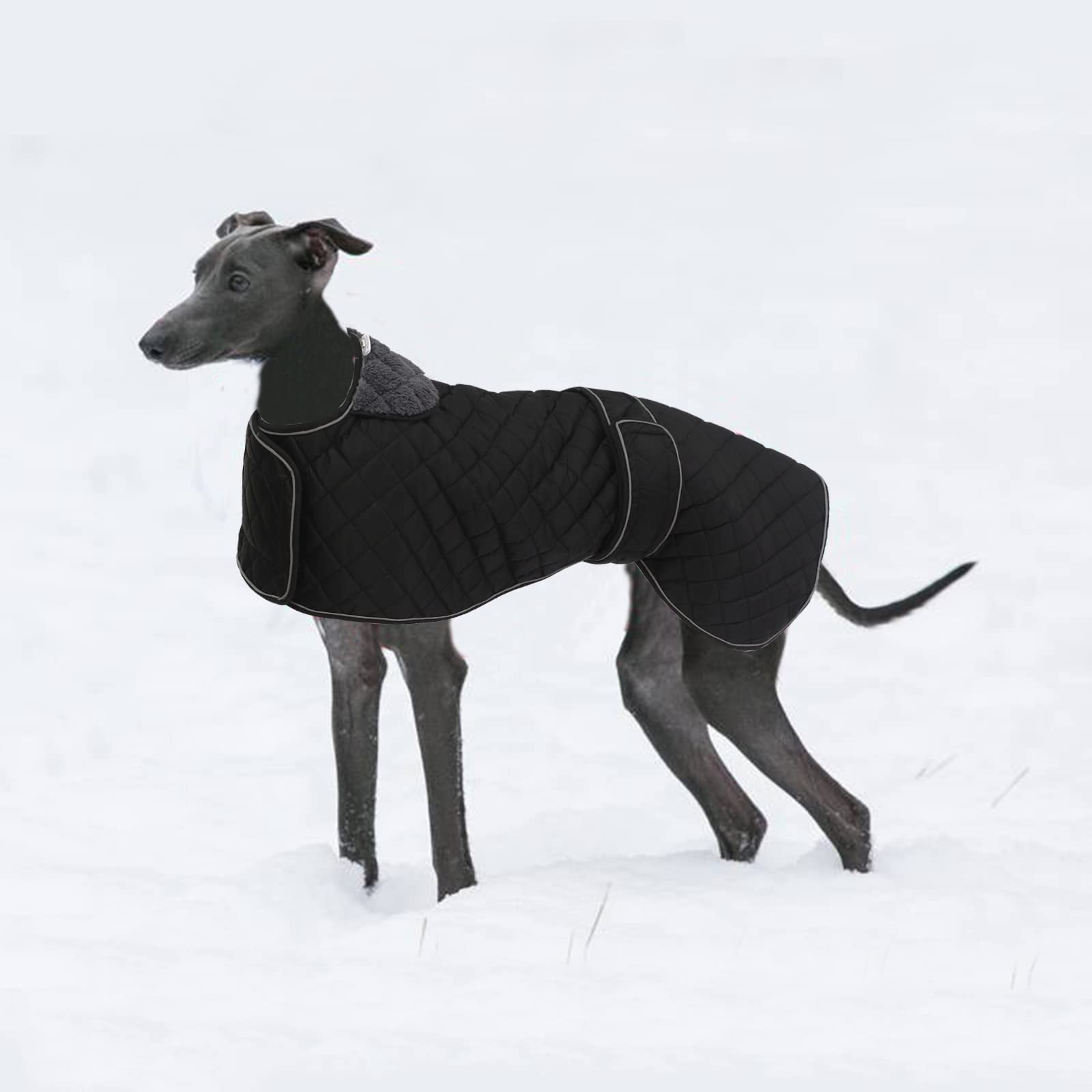 Windhund Whippet Wintermantel - wasserdichte Hundejacke mit Fleecefutter, verstellbar für mittelgroße oder große Hunde, ideal für Windhunde, Whippets, Lurcher, Salukis - Schwarz - XXL