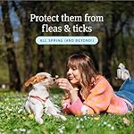 PetArmor Plus Flea and Tick Prevention for Dogs, Dog Flea and Tick Treatment, 3 Doses, Waterproof Topical, Fast Acting, Small Dogs (5-22 lbs) - Image 2