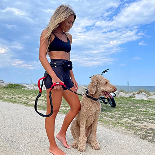 Black Rhino - Premium Hands Free Dog Leash For Running Walking Jogging & Hiking - Adjustable Length Dual Handle Bungee Leash Medium – Large Dogs Neoprene Padded Handles – Free Running Pouch Red/Bl #TOP1