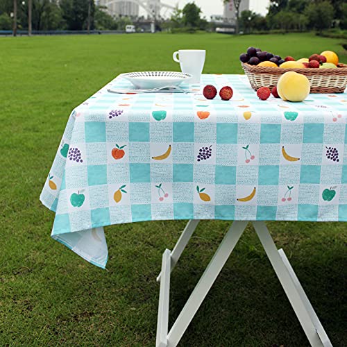 Joyfol Day Rectangle Summer Fruit Tablecloth,Premium Outdoor Picnic Camping Table Cloth,Checkered Table Cover,Hand Painted Style Grapes Banana Cherry Pear Apple (Colorful, 60 X 84 Inch) #TOP4