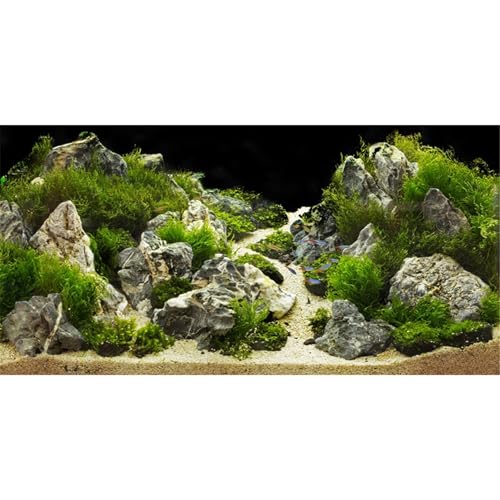 MIRRORANG 180x61cm Aquarium Hintergrund Felsen 3D Felsen Steine Gras Terrarium Hintergrund Dekoration Reptilien Tank Hintergründe