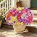 AmyHomie Artificial Flowers for Outdoors UV Resistant - 20 Bundles Fake Plants Outdoor, Faux Silk Flowers No Fade for Planters Garden Porch Window Box Patio Decoration (Mix Color)