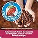 vasoLoges® concept - 240 Tabletten – mit Kakaoflavanolen zur Förderung der Elastizität der Blutgefäße und damit als Beitrag zum normalen Blutfluss*