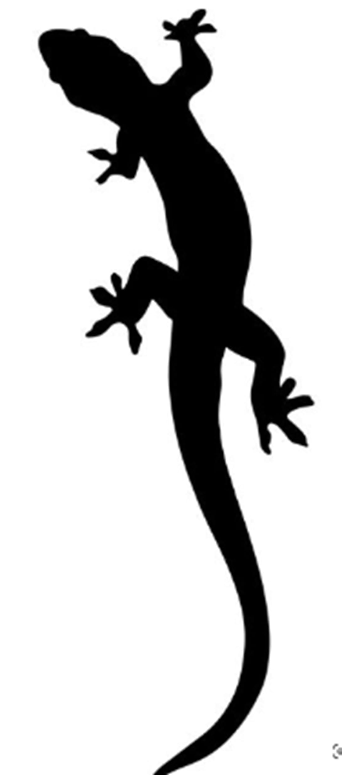 New Choice Lizard Sticker for CAR& Bike (Black) Length x Width: 12 cm x 5 cm